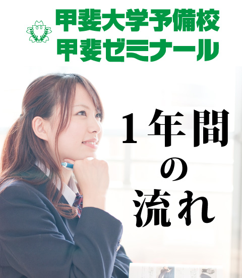 甲斐大学予備校　甲斐ゼミナール　1年間の流れ
